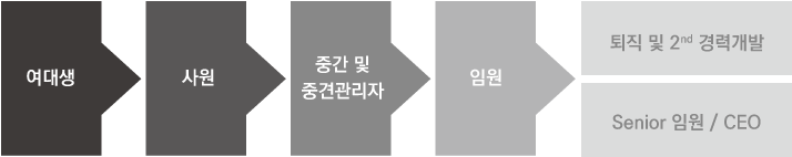 여대생→사원→중간 및 중견관리자→임원→퇴직 및 2nd 경력개발 Senior 임원 / CEO