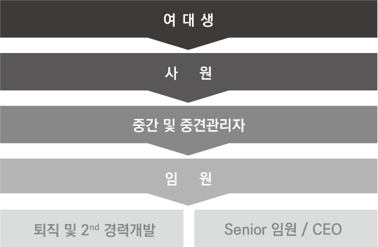 여대생→사원→중간 및 중견관리자→임원→퇴직 및 2nd 경력개발 Senior 임원 / CEO