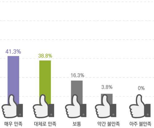 매우 만족 41.3% 대체로 만족 38.8% 보통 16.3% 약간 불만족 3.8% 아주 불만족 0%